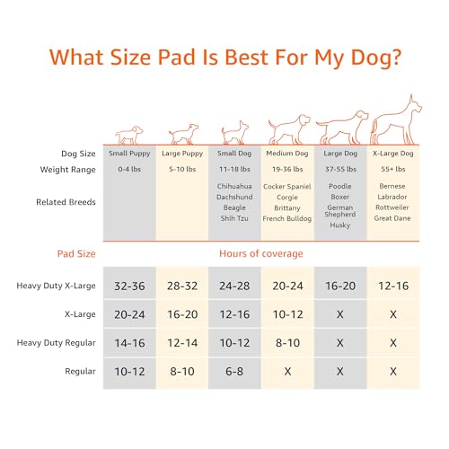 Amazon Basics Dog Training Pads - Carbon Odor Control (Regular, 80 Pack)