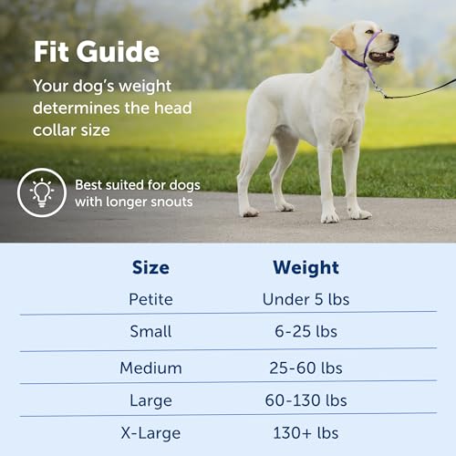 PetSafe Gentle Leader No-Pull Dog Headcollar - The Ultimate Solution to Pulling - Redirects Your Dog's Pulling for Easier Walks - Helps You Regain Control - Large, Apple Green