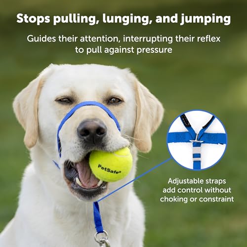 PetSafe Gentle Leader No-Pull Dog Headcollar - The Ultimate Solution to Pulling - Redirects Your Dog's Pulling for Easier Walks - Helps You Regain Control - Large, Apple Green