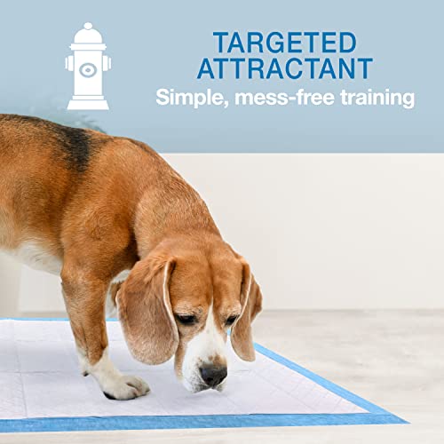 Four Paws Wee-Wee Superior Performance Unscented Pee Pads for Dogs & Puppies, Quilted Leak-Proof Dog Housebreaking Potty Training Floor Protection, 22" x 23", 30 Count