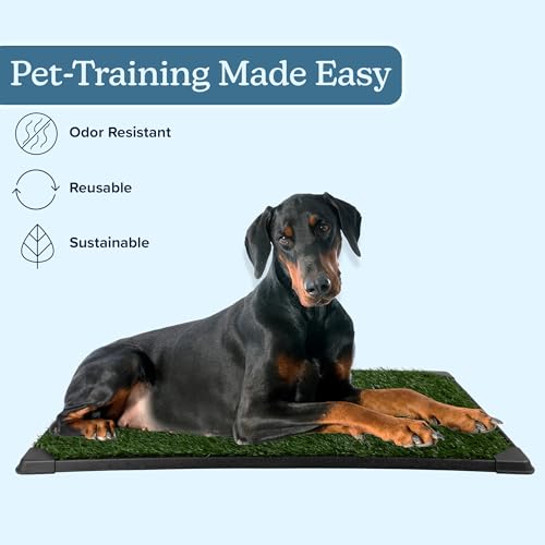 Dog Grass Pad with Tray - 41x27in Reusable Pee Pads for Dogs - 4-Layer Indoor/Outdoor Artificial Grass Pee Pad - Dog Housebreaking Supplies for Puppy Training by PETMAKER