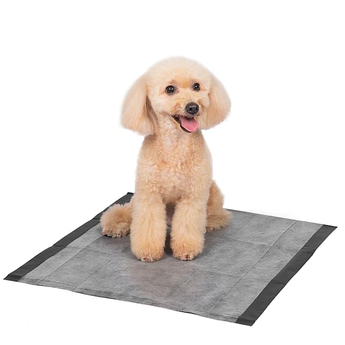 Glad for Pets Black Charcoal Puppy Pads - Super Absorbent Disposable Dog Pee Pads, Potty Training Pads, and Pet Supplies - Dog Pee Pads for Crate Training and Indoor Use 23" x 23" - 50 Count
