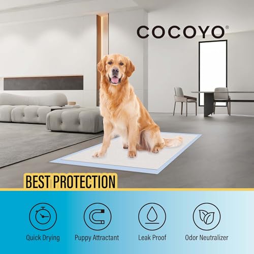 COCOYO Best Value Training Pads, 30"X36" , XXL - 80 Count,White