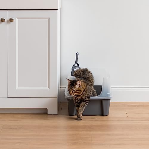IRIS USA Large Cat Litter Box with Scatter Shield and Scoop, Open Top High Sided Cat Litter Pan, Gray/Clear