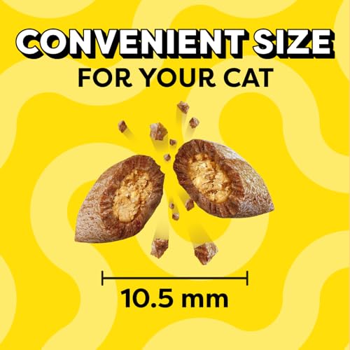 Temptations Classic Crunchy and Soft Cat Treats Savory Salmon Flavor, 3 oz. Pouch (Pack of 12)