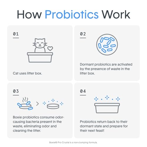 Boxie® Probiotic Cat Litter 40 Day Natural Odor Control, 16lb Clumping Kitty Litter (Clay)