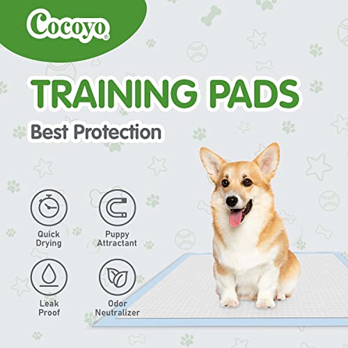 COCOYO Dog Training Pads Large Size丨Eliminating Urine Odor Puppy Pads 丨 Premium Dog Pee Pads Value Pack (30 Count, L 26x30 inch)