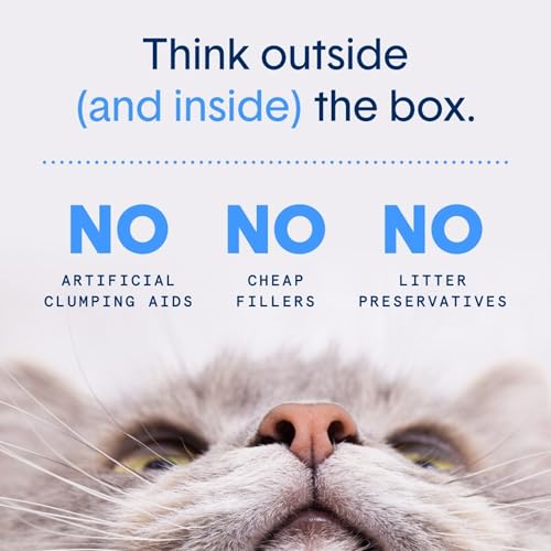 Boxie® Probiotic Cat Litter 40 Day Natural Odor Control, 16lb Clumping Kitty Litter (Clay)