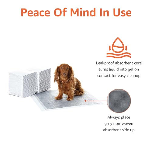 Amazon Basics Dog Training Pads - Carbon Odor Control (Regular, 80 Pack)