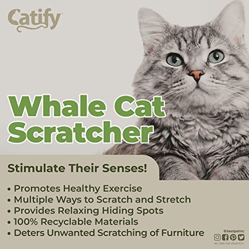 Best Pet Supplies Corrugated Cardboard Cat Scratcher Refill Pads, Lounger, and Fun Interactive Scratching Boards, Claw Safe, Durable, Natural Recycled Materials, Supports Active Play - Whale