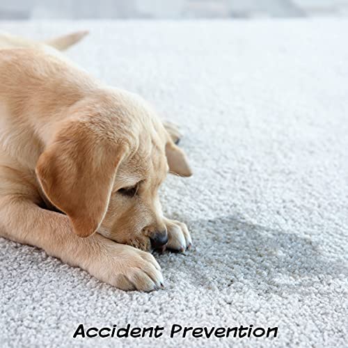 Pee Pads for Dogs - Set of Three 18.5x14-Inch Replacement Turf Grass Mats for Potty Training - Dog Housebreaking Supplies for Small Pets by PETMAKER