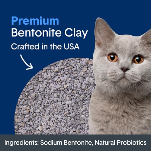Boxie® Probiotic Cat Litter 40 Day Natural Odor Control, 16lb Clumping Kitty Litter (Clay)