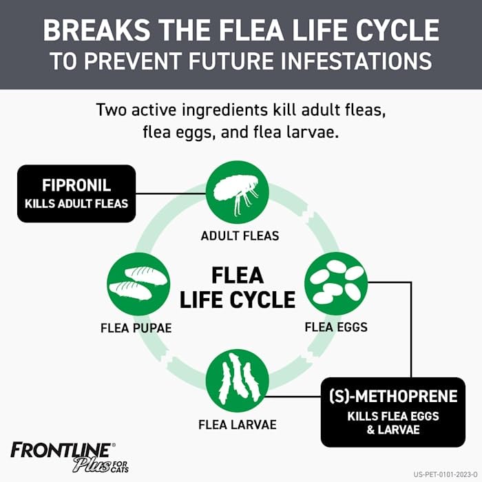 FRONTLINE Plus Flea and Tick Treatment for Cats Over 1.5 lbs., 3 Treatments