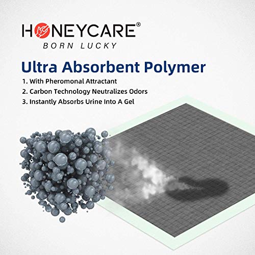 HONEY CARE All-Absorb Puppy Training Pads Dog Potty Pads Absorb Eliminating Urine Odor, Jumbo-Size Charcoal Puppy Pee Pad (Carbon, XL 28x34 inch, 40ct)