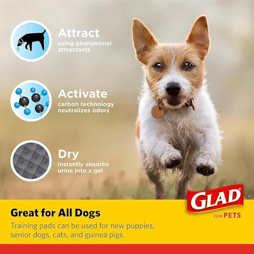 Glad for Pets Black Charcoal Puppy Pads - Super Absorbent Disposable Dog Pee Pads for Potty Training & Crate Training - 23" x 23" - 50 Count - 4 Pack