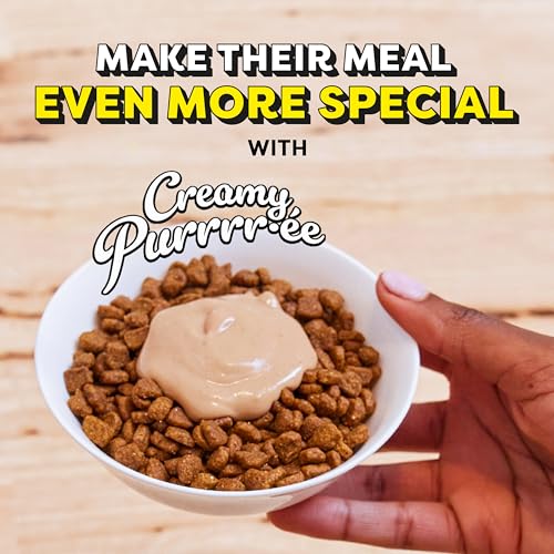 Temptations Creamy Puree with Beef Liver Lickable Cat Treats, 0.42 oz Pouches, 4 Count (Pack of 11) - Total 44 Count