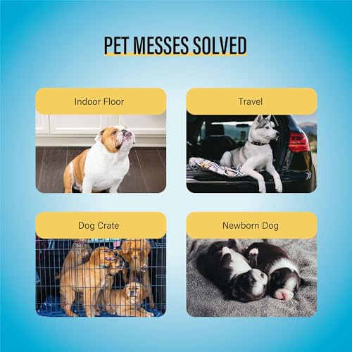COCOYO Best Value 22"x22" Dog Training Pads 50 Count | Dog Pee Pads | Super Absorbent Puppy Pads,White