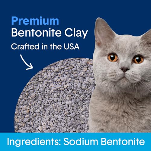 Boxie® Unscented 30 Day Natural Odor Control Cat Litter, 16lb Clumping Clay Kitty Litter