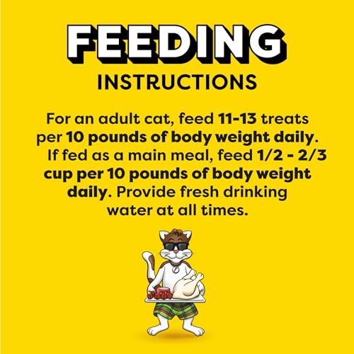 Temptations MixUps Backyard Cookout Flavor Crunchy and Soft Cat Treats, 16 oz. Tub