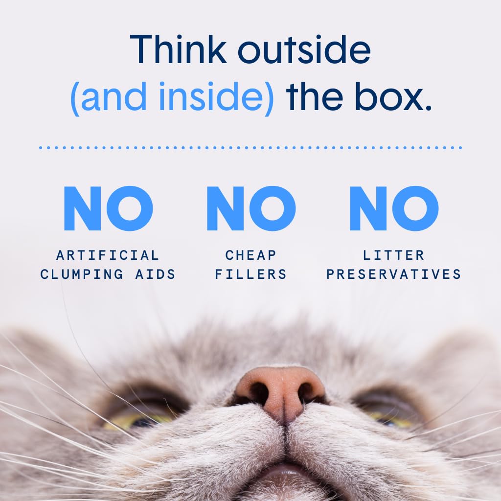 Boxie Extra Strength Cat Litter, 35-Day Odor Control, Clumping Clay, 28lb