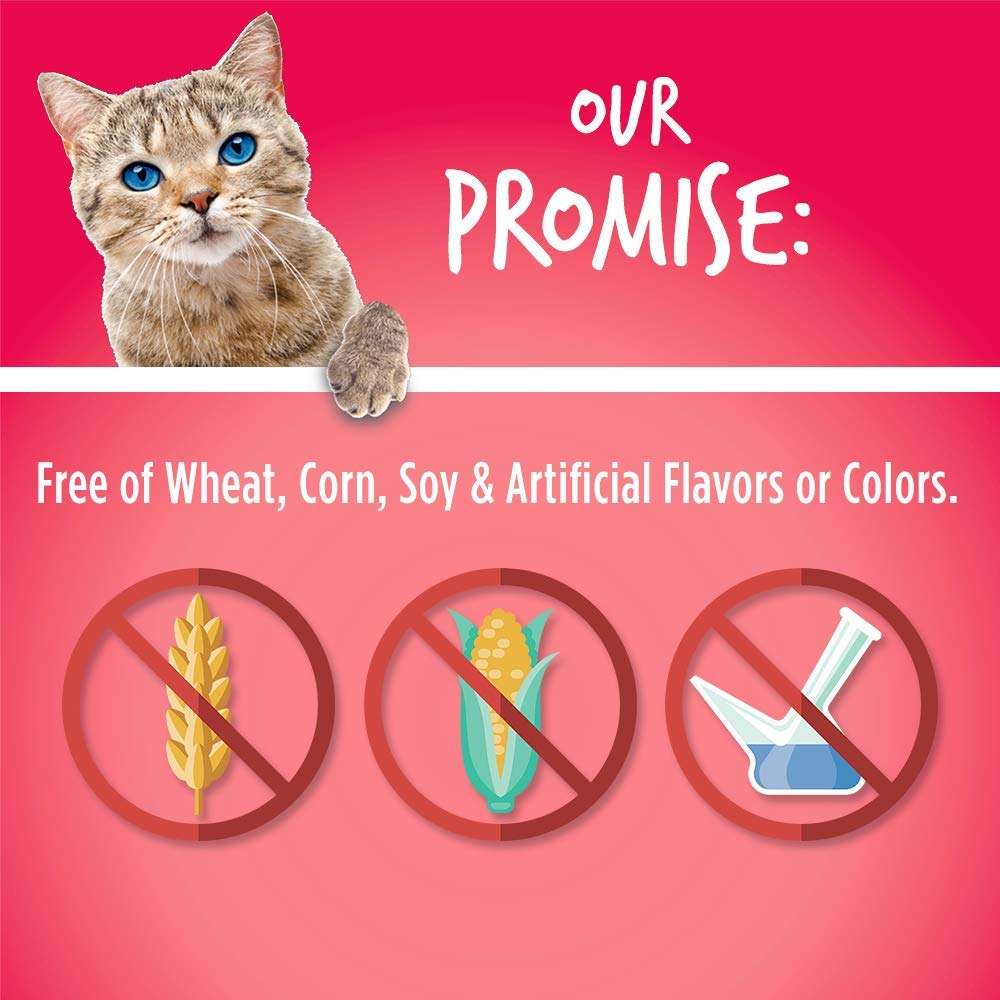 Fruitables Cat Treats – Crunchy Treats for Cats – Healthy Low Calorie Treats Packed with Protein – Free of Wheat, Corn and Soy – Made with Real Salmon with Cranberry – 30 Ounces