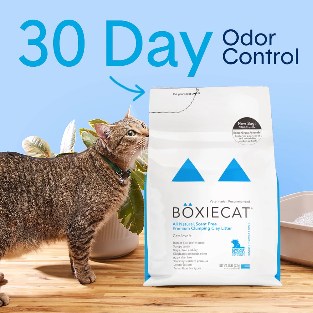 Boxie Unscented Clumping Clay Cat Litter, 28lb, 30-Day Odor Control, Dust-Free, Easy Scoop