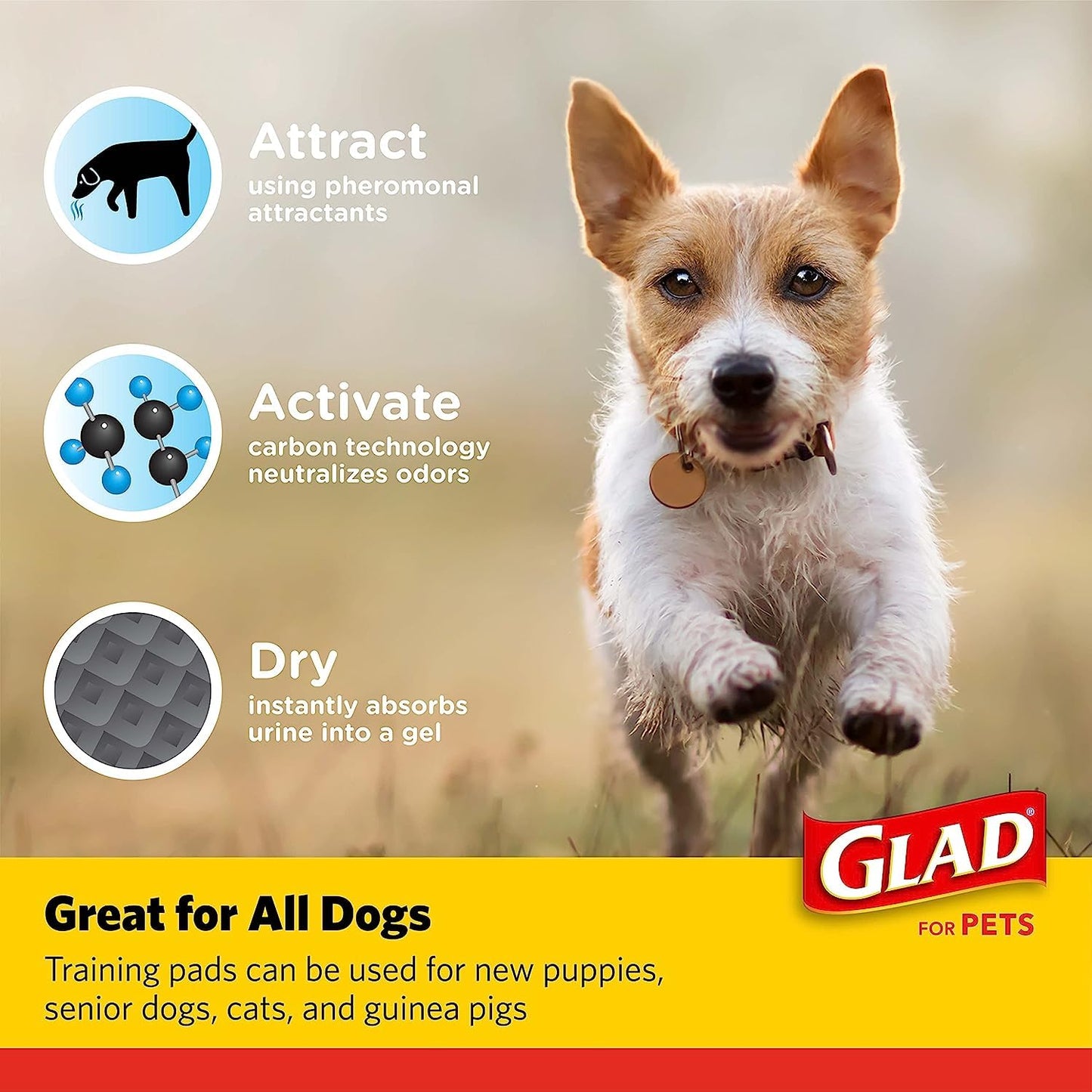 Glad for Pets Black Charcoal Dog Pads - Super Absorbent, Disposable Pee Pads for Puppy Potty Training & Indoor Use - 23" x 23" - 50 Count - 2 Pack
