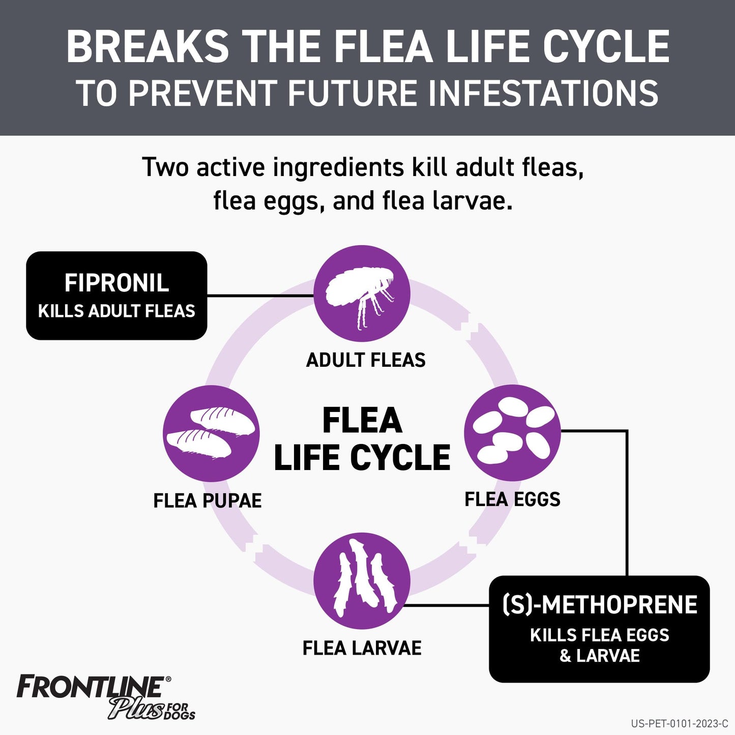 FRONTLINE Plus Flea and Tick Treatment for Small Dogs Upto 5 to 22 lbs. 3 Treatments