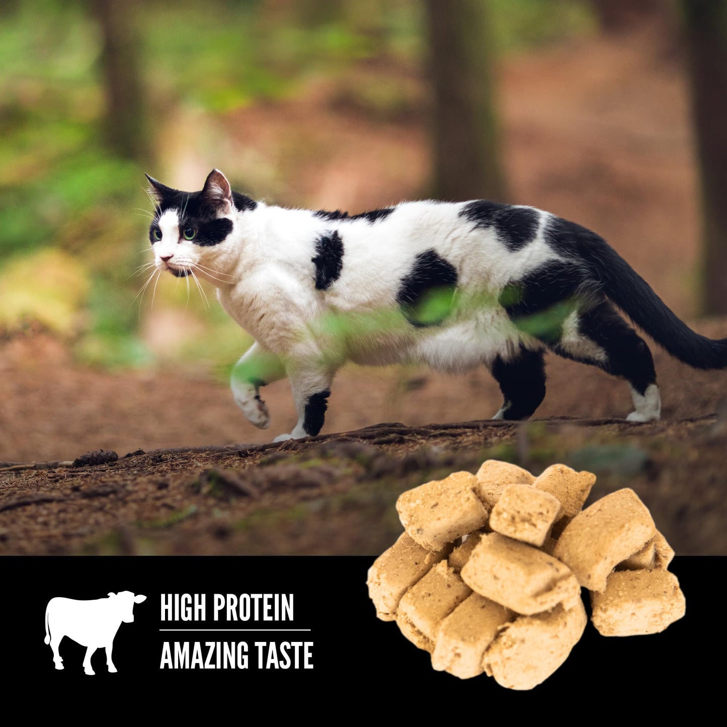 ORIJEN Regional RED Freeze Dried Cat Treats, Grain Free Treats for Cats, WholePrey Ingredients, 1.25oz