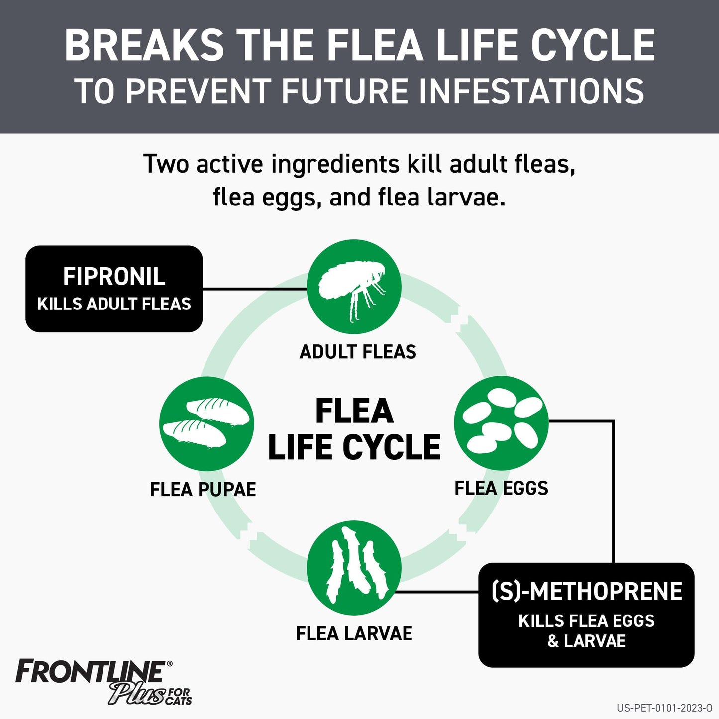 FRONTLINE Plus Flea and Tick Treatment for Cats Over 1.5 lbs. 8 Treatments