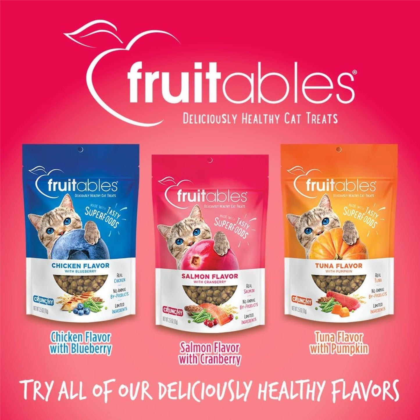 Fruitables Cat Treats, Healthy Treats For Cats, Low Calorie and Packed with Protein, Crunchy Biscuits, Free of Wheat, Corn and Soy, Made with Real Salmon and Cranberry, 2.5oz