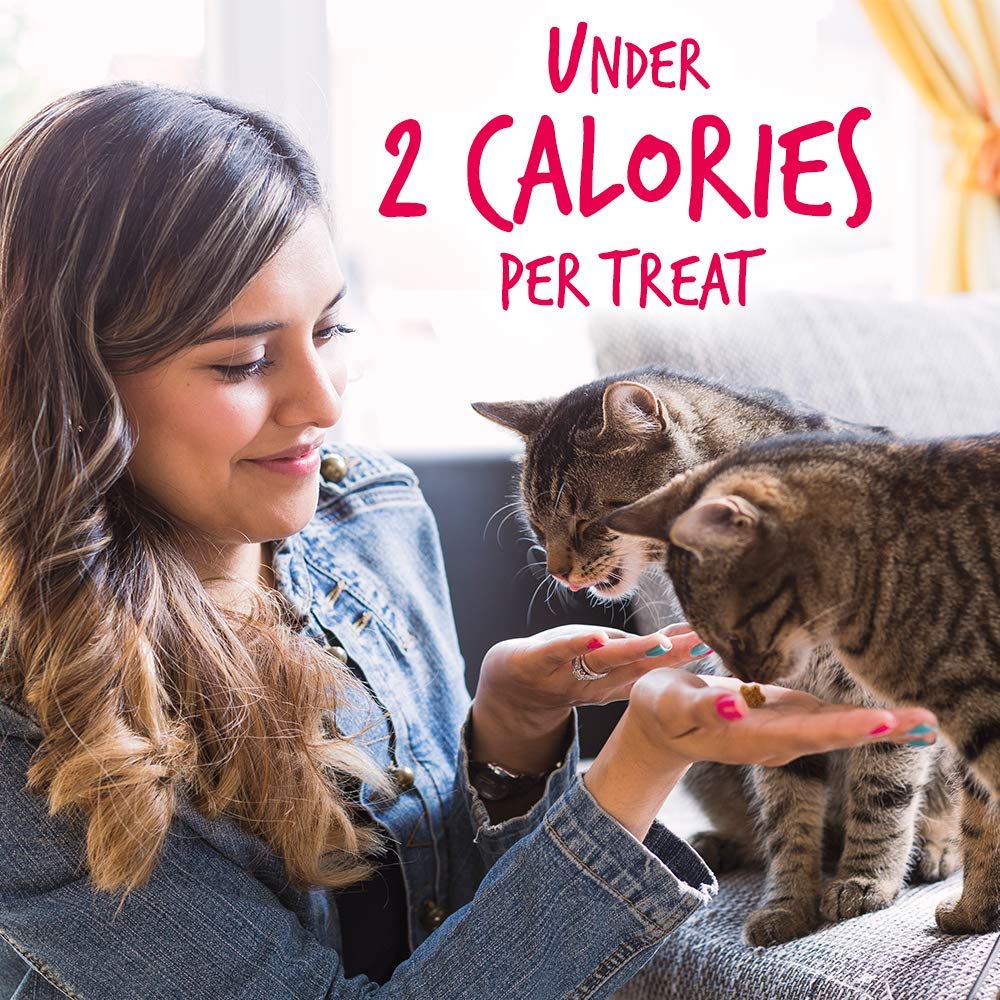 Fruitables Cat Treats – Crunchy Treats for Cats – Healthy Low Calorie Treats Packed with Protein – Free of Wheat, Corn and Soy – Made with Real Salmon with Cranberry – 30 Ounces