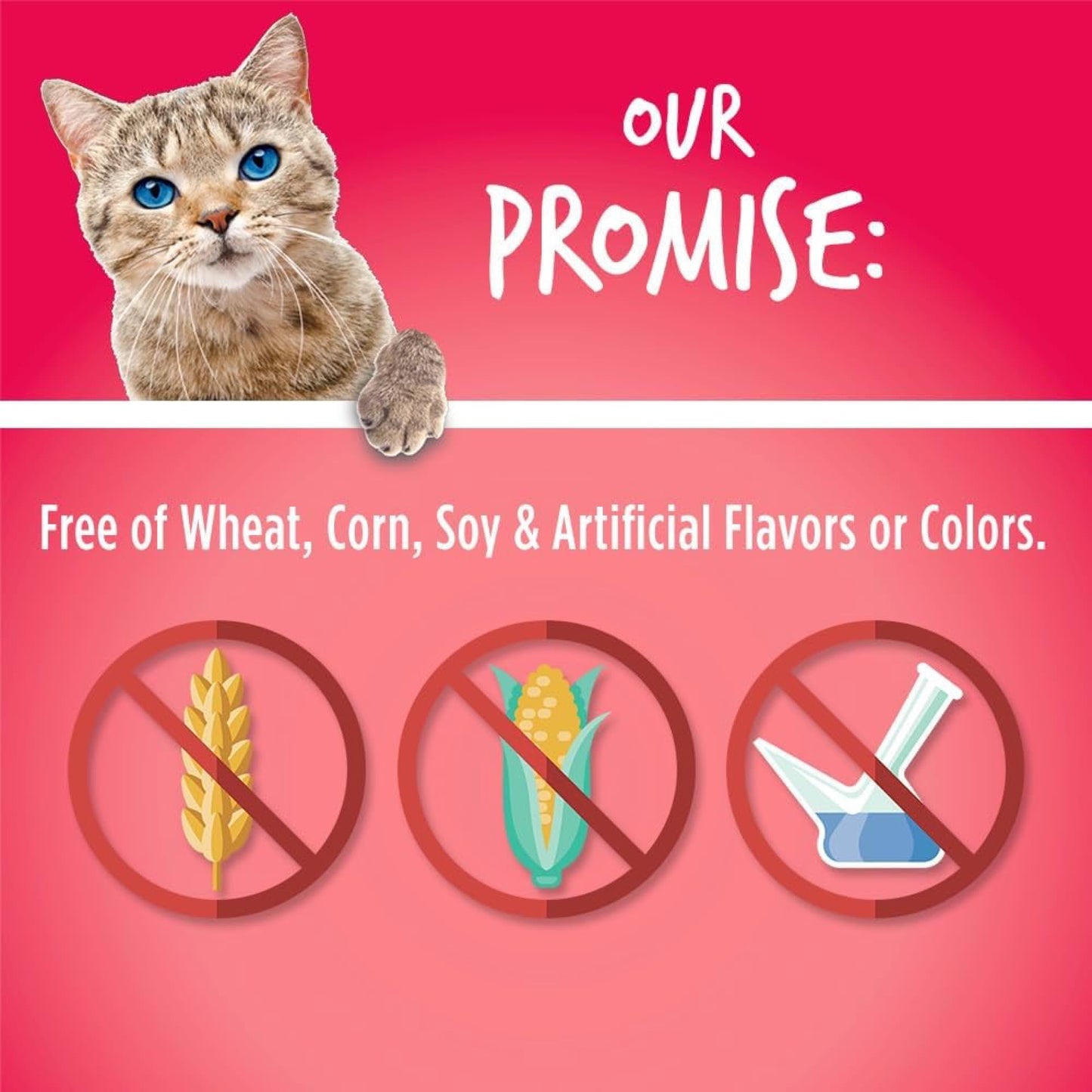 Fruitables Cat Treats, Healthy Treats For Cats, Low Calorie and Packed with Protein, Crunchy Biscuits, Free of Wheat, Corn and Soy, Made with Real Salmon and Cranberry, 2.5oz