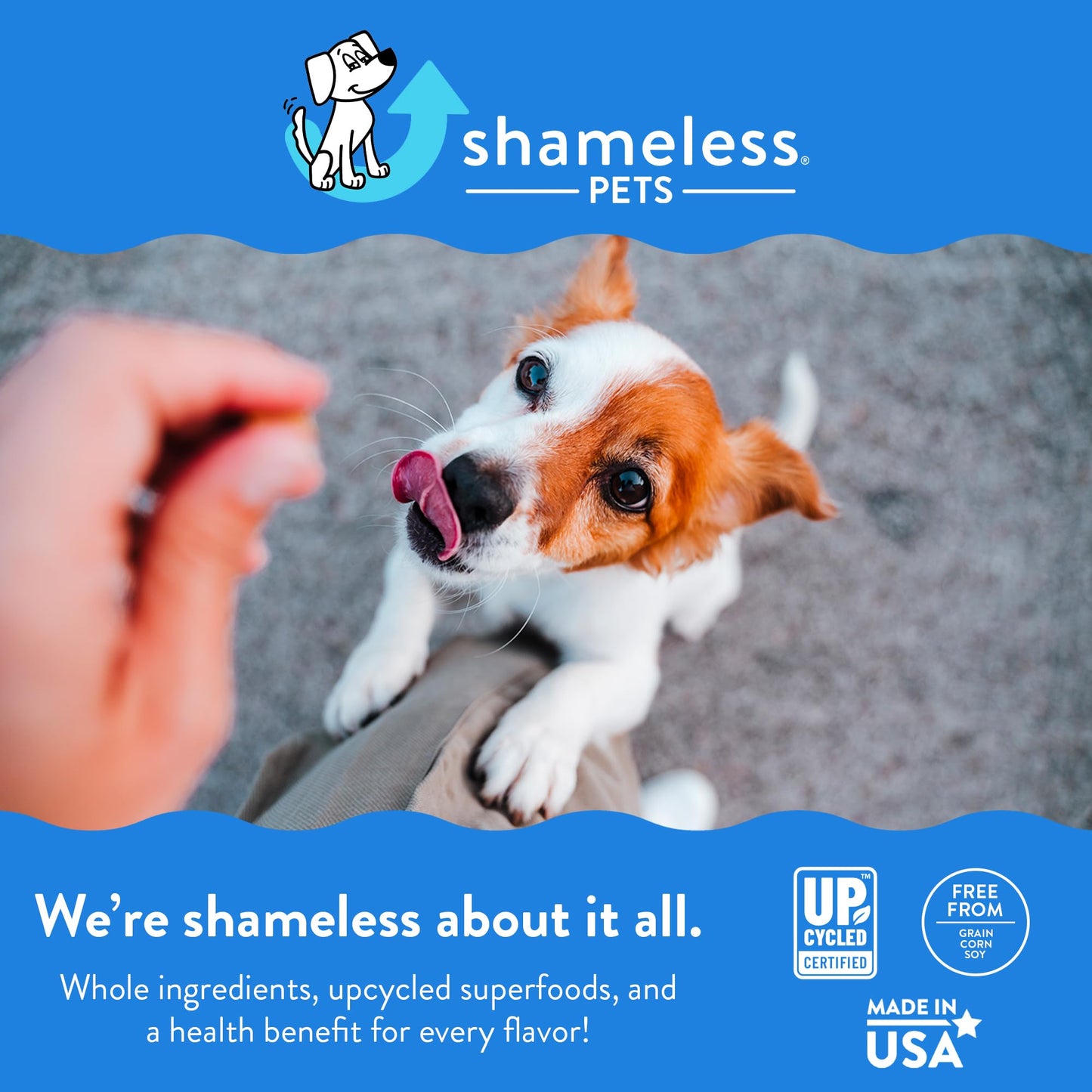 SHAMELESS PETS Soft-Baked Dog Treats, 6oz (Variety Pack, 5-Pk) | Clean, Natural, Grain-Free Dog Biscuits | Promotes Wellness in All Dogs | Made w/Upcycled Ingredients in USA
