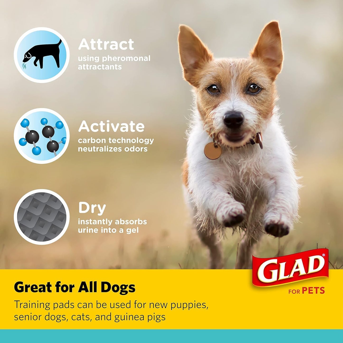 Glad for Pets Activated Charcoal Dog Training Pads, Small Size 17.5" x 23.5" Odor Absorbing, Pee Pads for Dogs Perfect for Training New Puppies, Charcoal, 120 Count (Pack of 2)