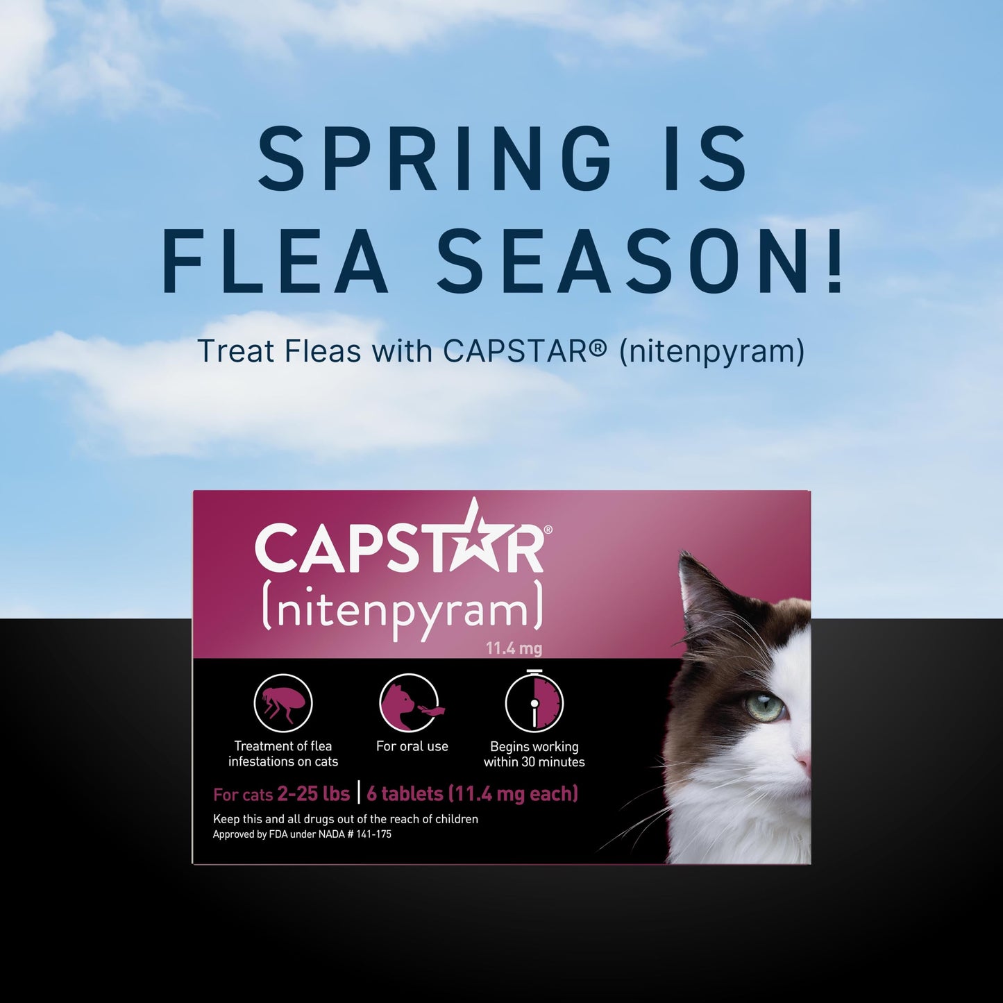 Capstar (nitenpyram) for Cats, Fast-Acting Oral Flea Treatment for Dogs 2-25 lbs, Vet-Recommended Flea Medication Tablets Start Killing Fleas in 30 Minutes, 12 Doses
