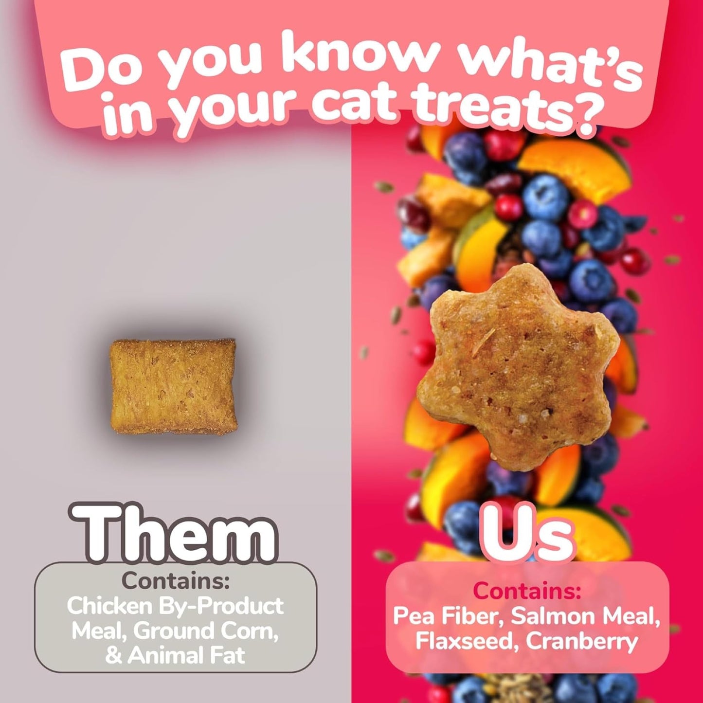 Fruitables Cat Treats, Healthy Treats For Cats, Low Calorie and Packed with Protein, Crunchy Biscuits, Free of Wheat, Corn and Soy, Made with Real Salmon and Cranberry, 2.5oz