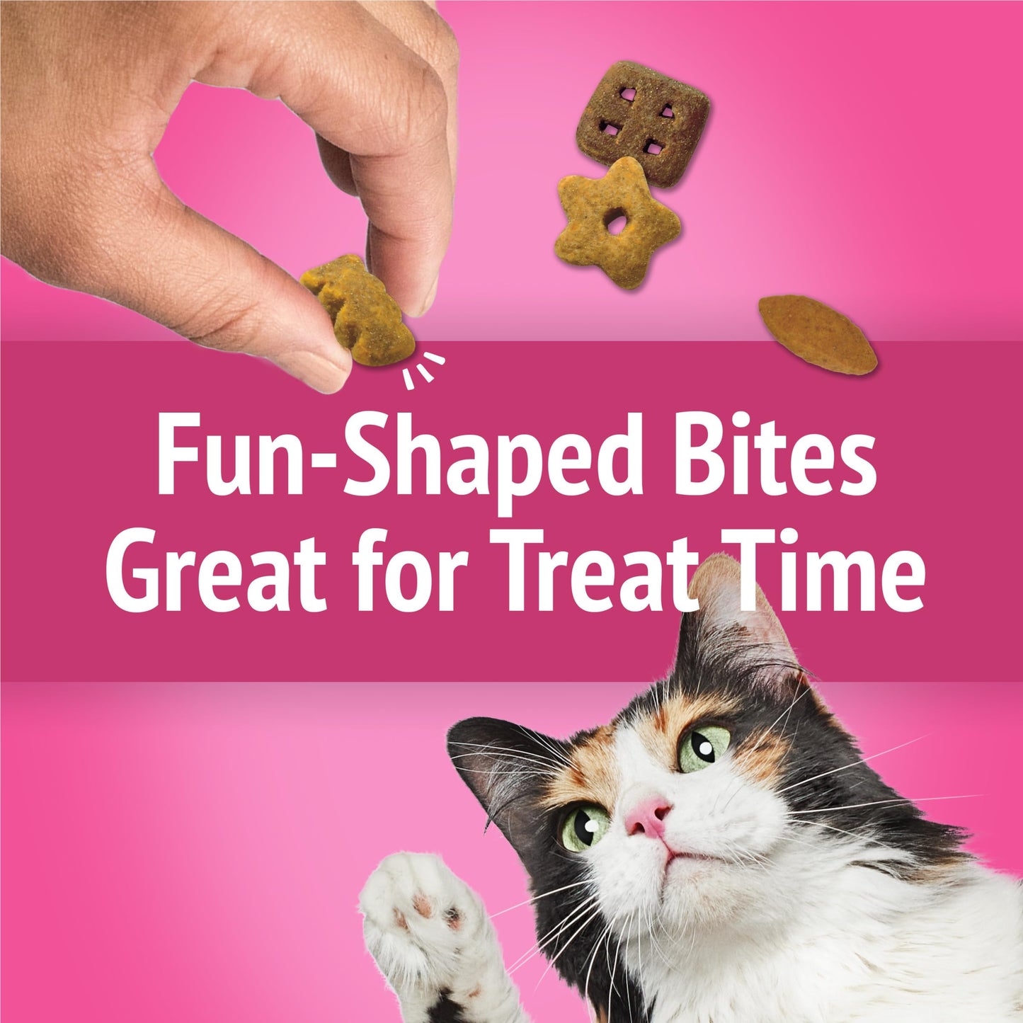 Purina Friskies Cat Treats, Party Mix California Crunch With Chicken - (Pack of 6) 6 oz. Pouches