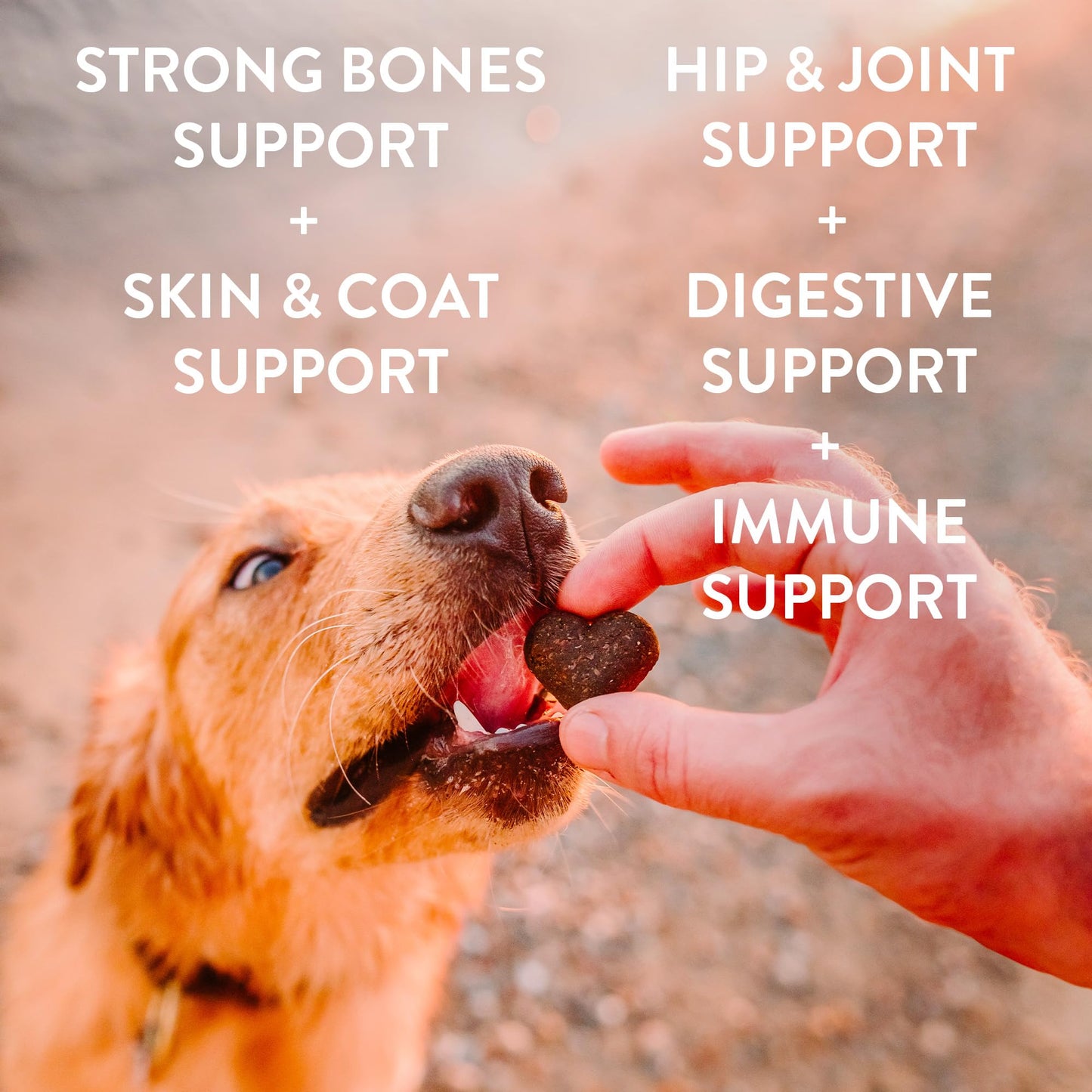 SHAMELESS PETS Soft-Baked Dog Treats, 6oz (Variety Pack, 5-Pk) | Clean, Natural, Grain-Free Dog Biscuits | Promotes Wellness in All Dogs | Made w/Upcycled Ingredients in USA