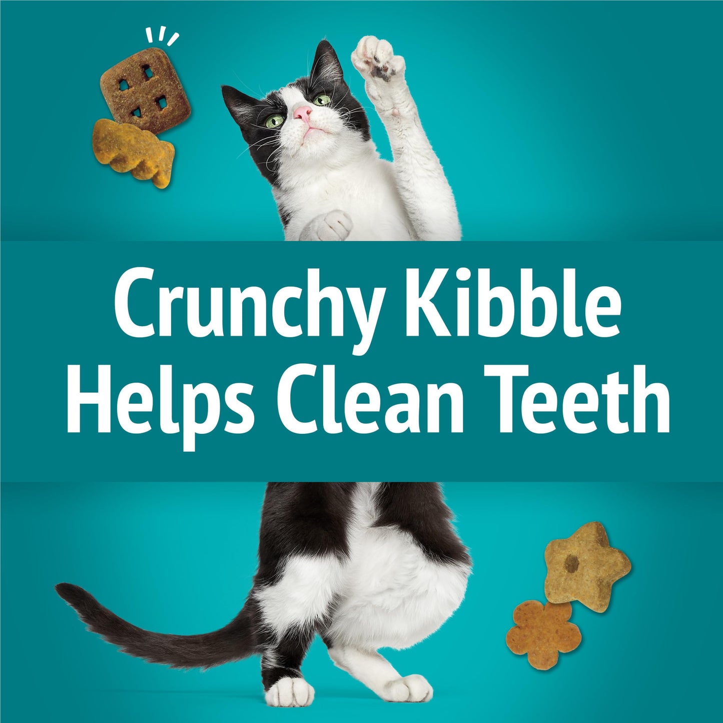 Purina Friskies Cat Treats, Party Mix Meow Luau Crunch - (Pack of 6) 6 oz. Pouches