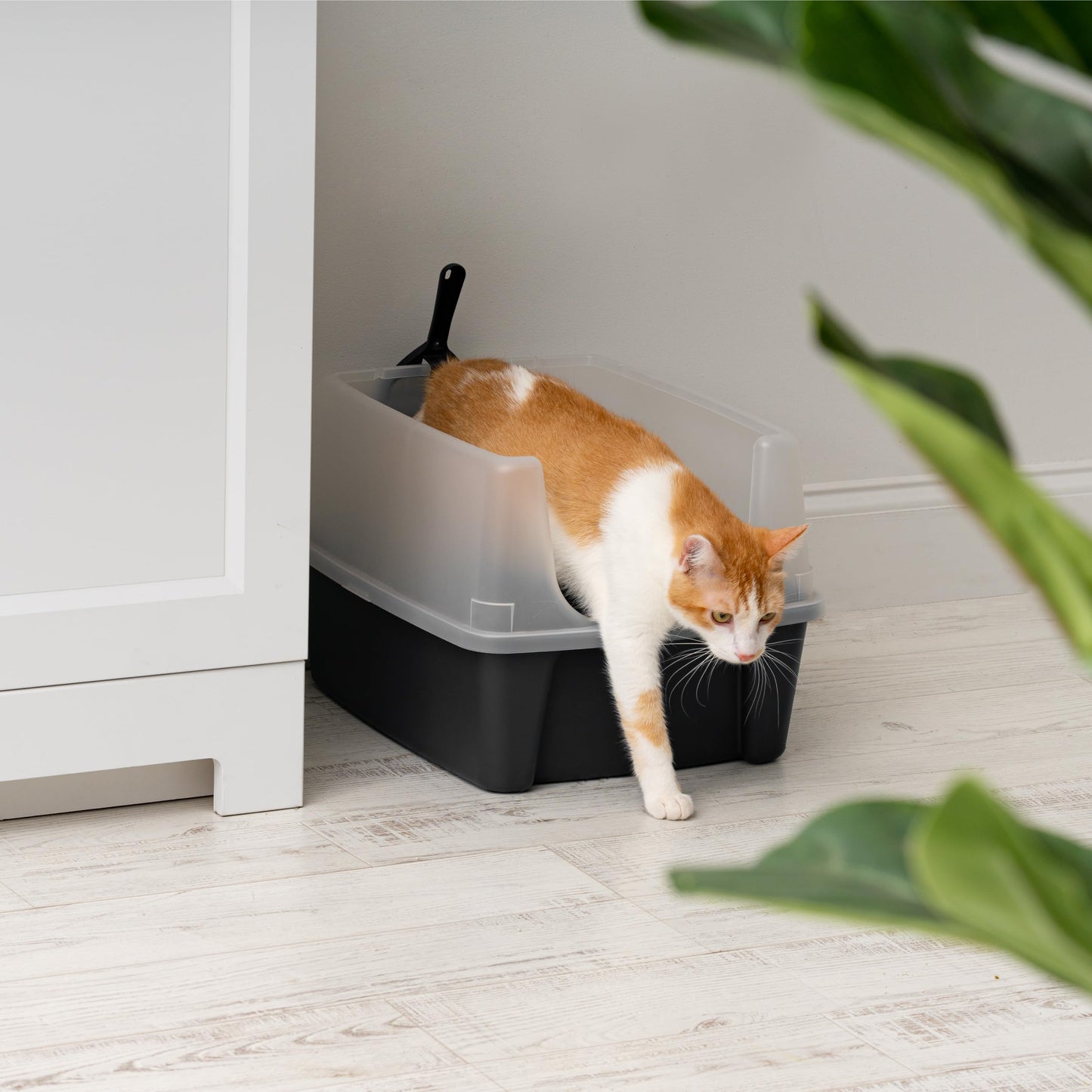 IRIS USA Large Cat Litter Box with Scatter Shield and Scoop, Open Top High Sided Cat Litter Pan, Black