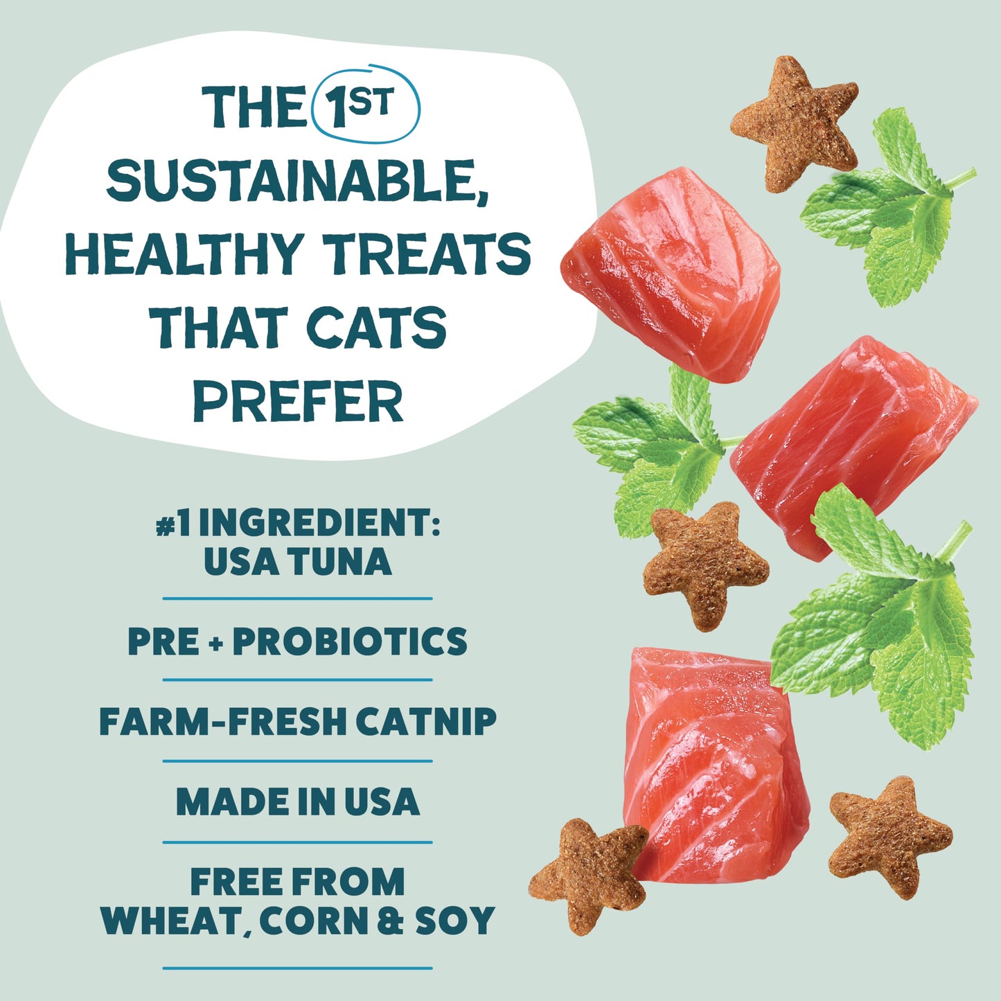 Shameless Pets Crunchy Cat Treats - Catnip Treats for Cats with Digestive Support, Kitten Treats with Real Ingredients, Natural & Healthy Flavored Feline Snacks - Fintastic Catnip, 1-Pk