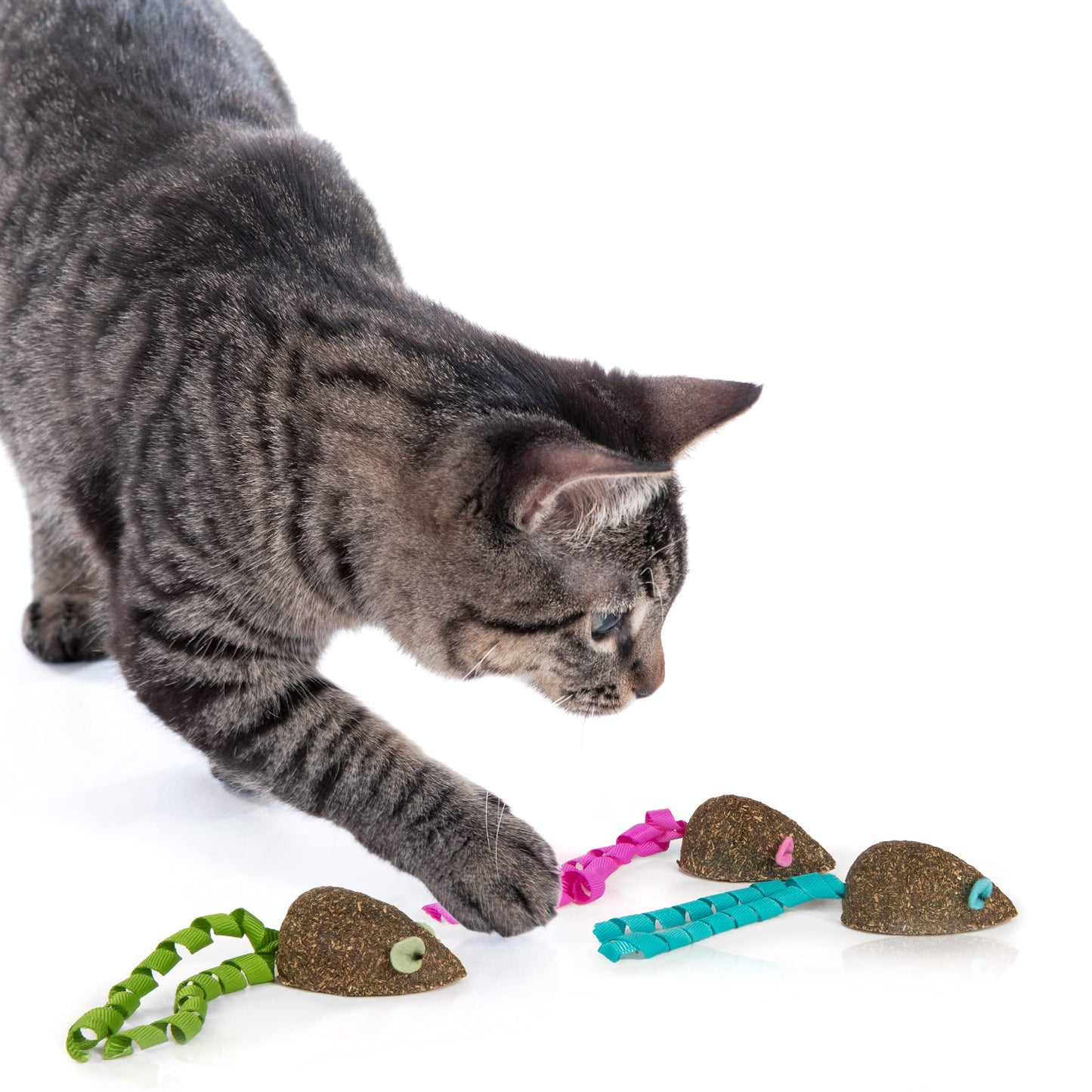 SmartyKat (3 Count) Magic Mice Compressed Catnip Ribbon Cat Toys - Green/Pink/Blue, 3 Count