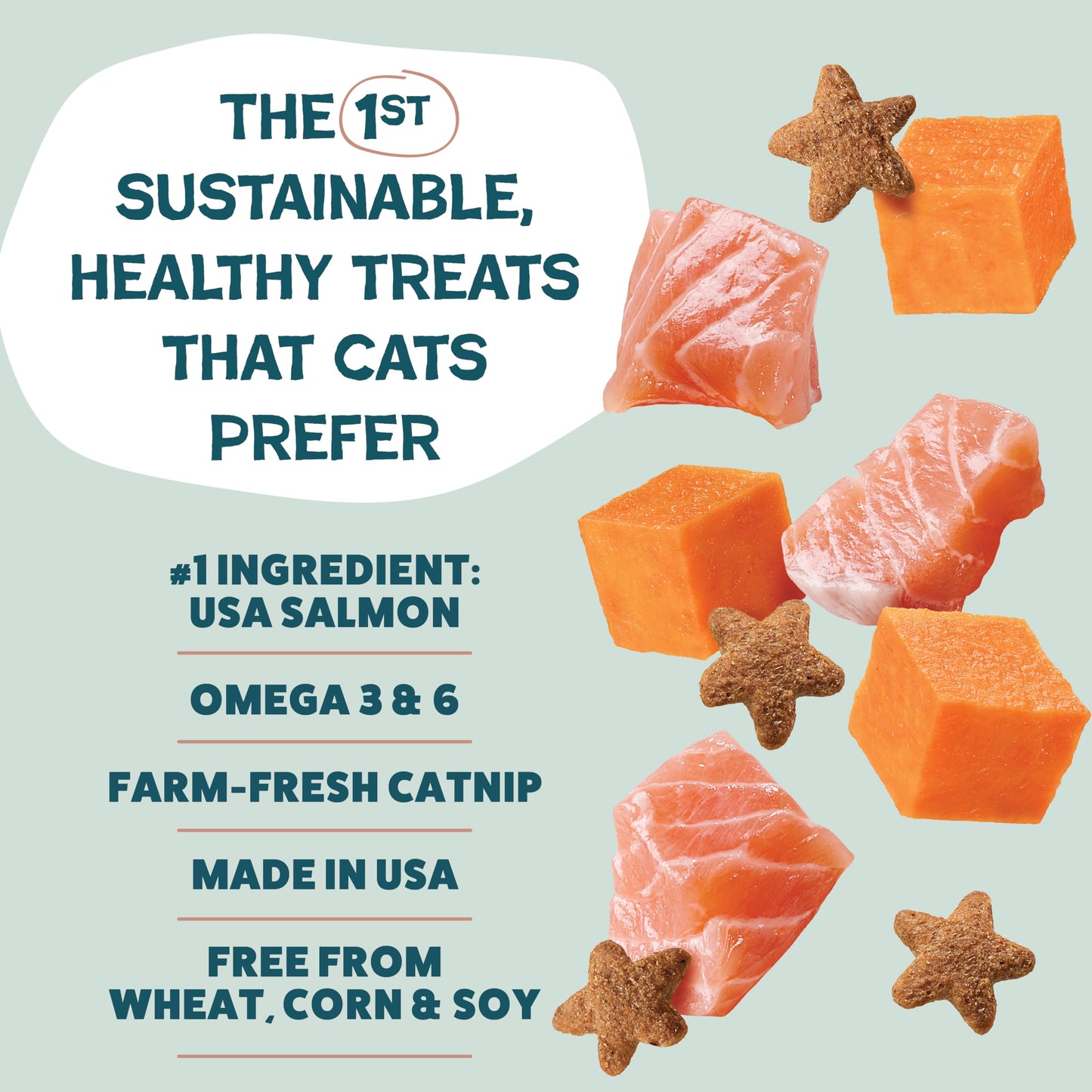 Shameless Pets Crunchy Cat Treats - Kitty Treats for Cats with Skin & Coat Support, Natural Ingredients Kitten Treats with Real Salmon, Healthy Flavored Feline Snacks - Yam Good Salmon, 3-Pk