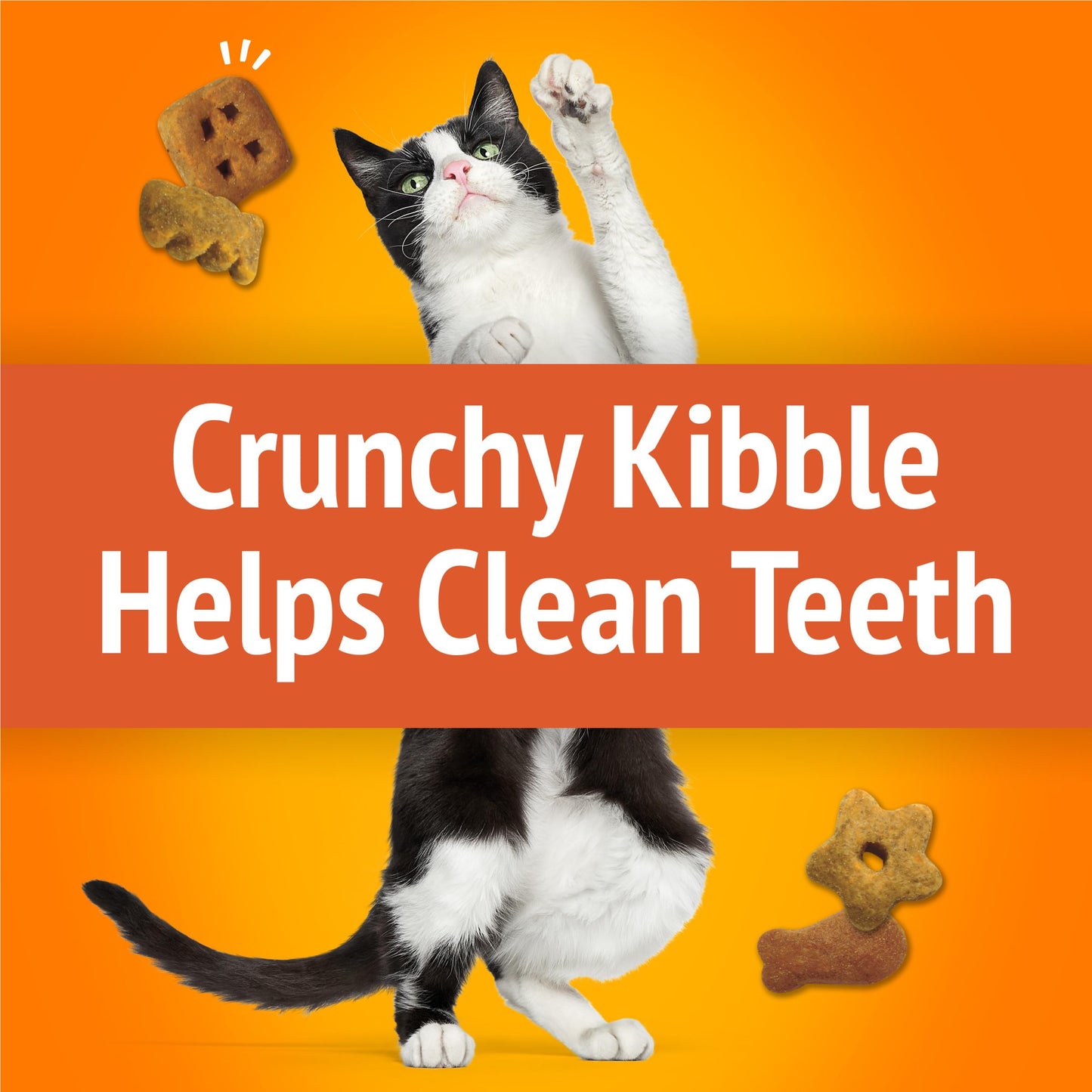 Purina Friskies Cat Treats, Party Mix Original Crunch - (Pack of 6) 6 oz. Pouches