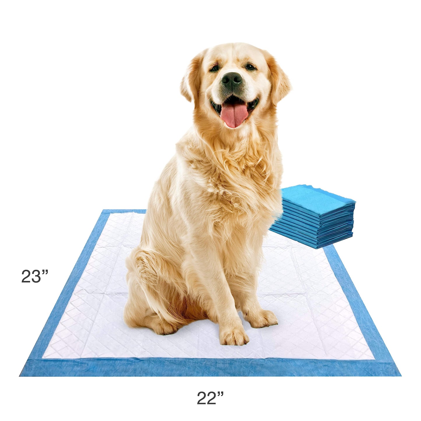 Four Paws Wee-Wee Superior Performance Unscented Pee Pads for Dogs & Puppies, Quilted Leak-Proof Dog Housebreaking Potty Training Floor Protection, 22" x 23", 10 Count