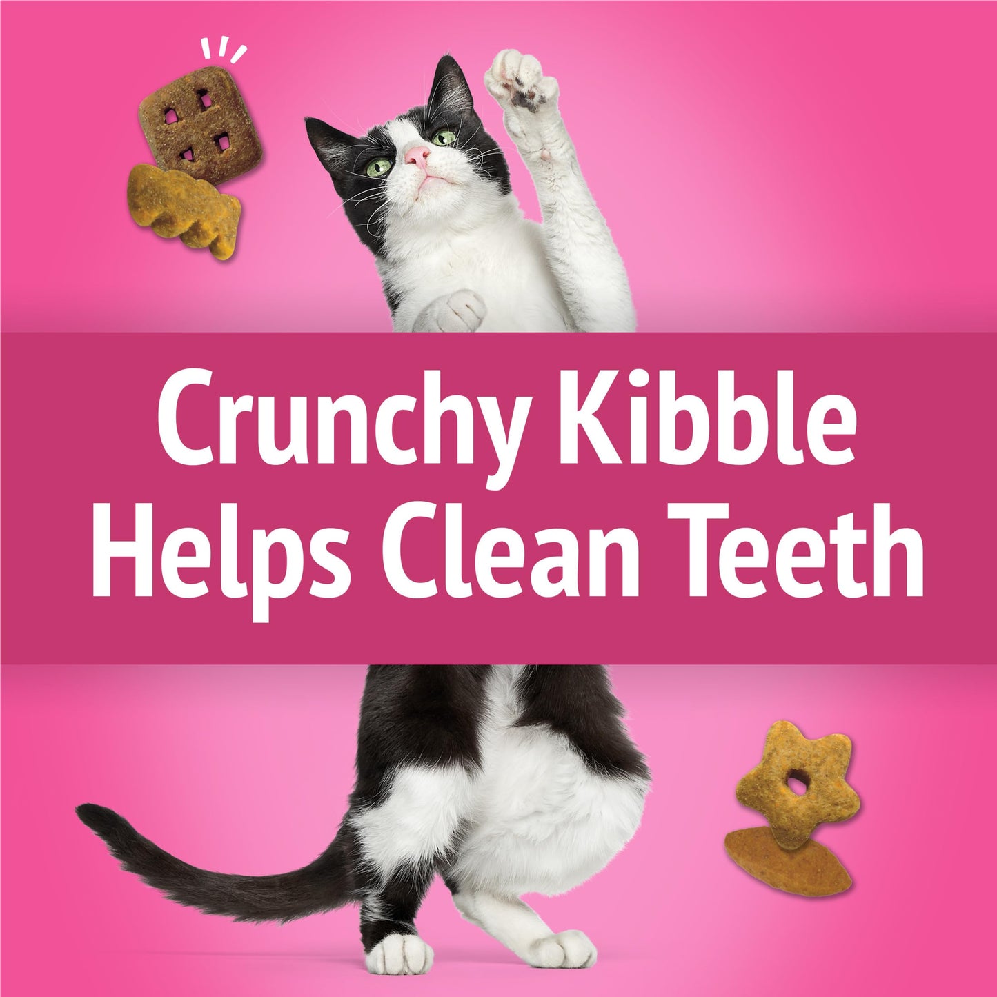 Purina Friskies Cat Treats, Party Mix California Crunch With Chicken - (Pack of 6) 6 oz. Pouches
