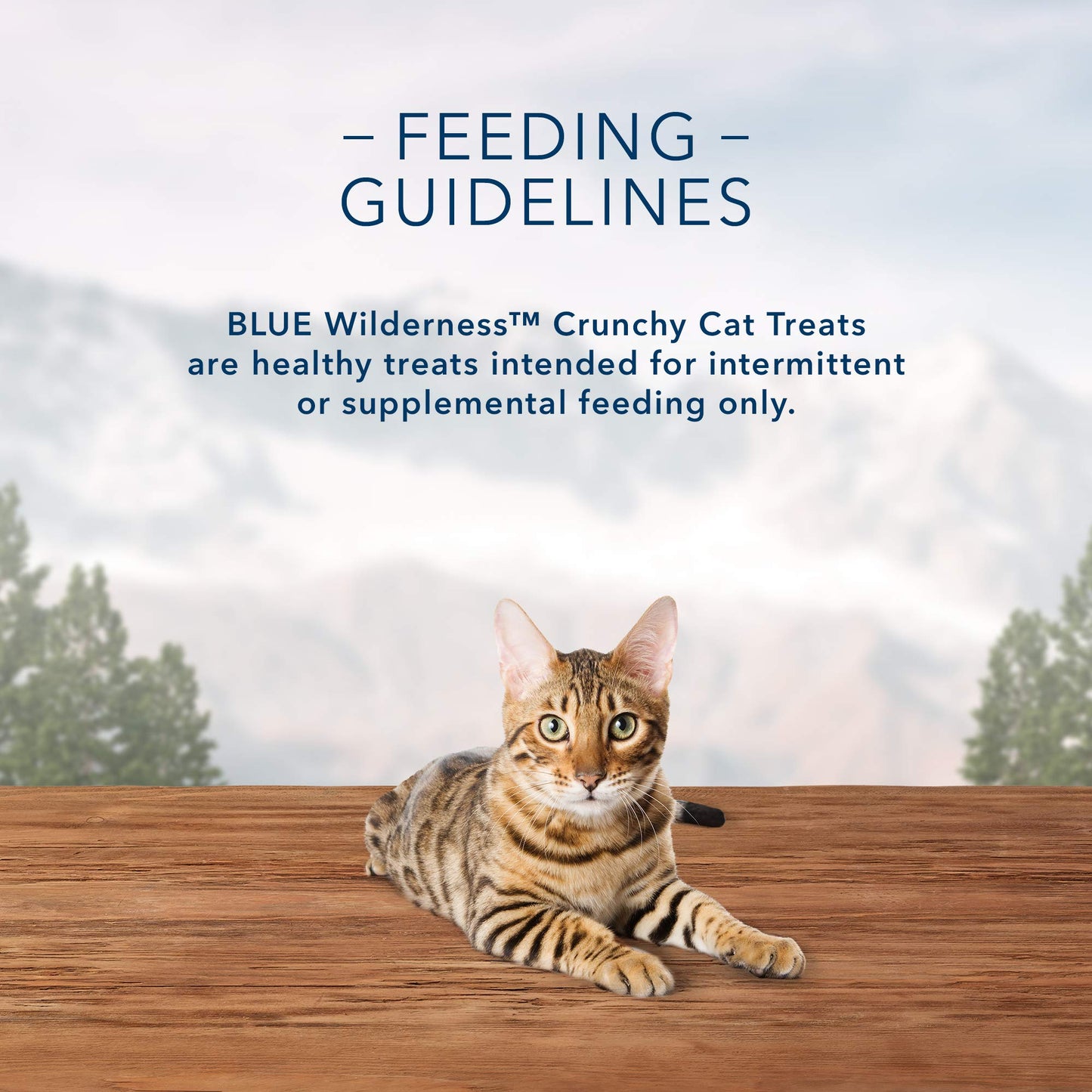 Blue Buffalo Wilderness High Protein Crunchy Cat Treats, Made With Natural Ingredients, Tasty Chicken, 2-oz Bag (Pack of 12)