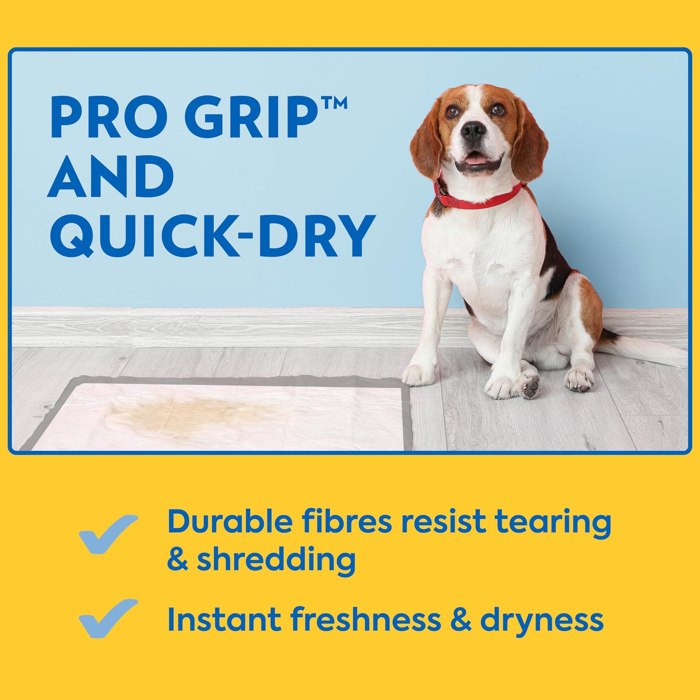 OUT! Petcare XXL Puppy Pads, Heavy Duty, Dog Training, Pee Pads for Dogs, Puppy Essentials, Leak Proof, Potty Training, Housebreaking Supplies (26"x30", 30 Count)