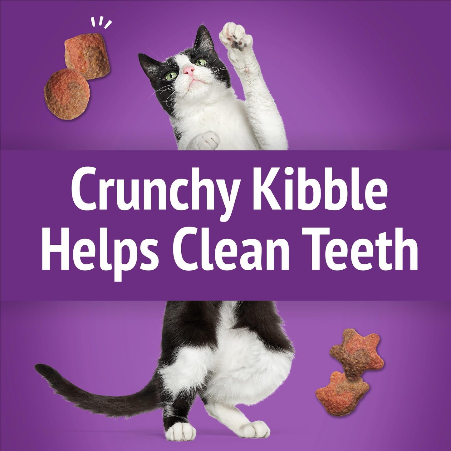 Purina Friskies Cat Treats, Party Mix Gravy-licious Crunch Turkey and Gravy Flavors - (Pack of 6) 6 oz. Pouches